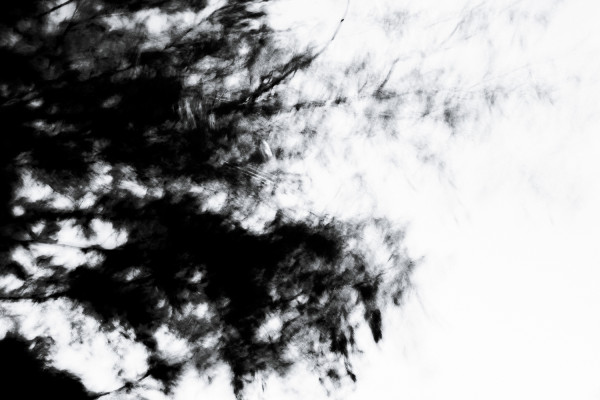 0b67fb30113a03373ea5cc8cbf8a6444_1785490550_1054.jpg