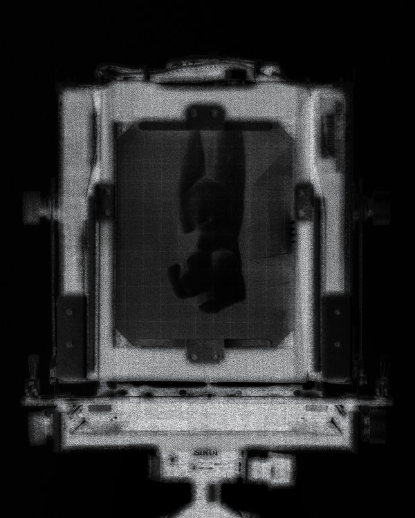 2940c279d22c53d3928fa88954c30986_1785159234_8123.jpg