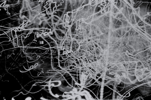 e3254ec4e91b4d79cc5598e0174b6132_1784914326_3265.jpg