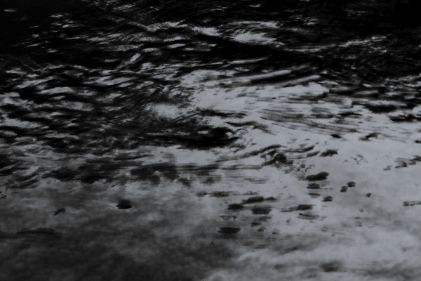 6ebe7e838c65f0c39cf09e2c8fd55ccb_1786618121_6528.jpg
