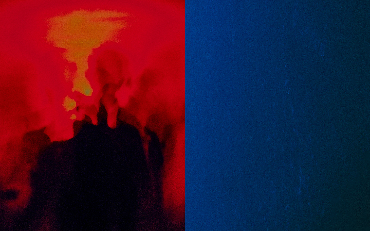 Series / Exhibitions